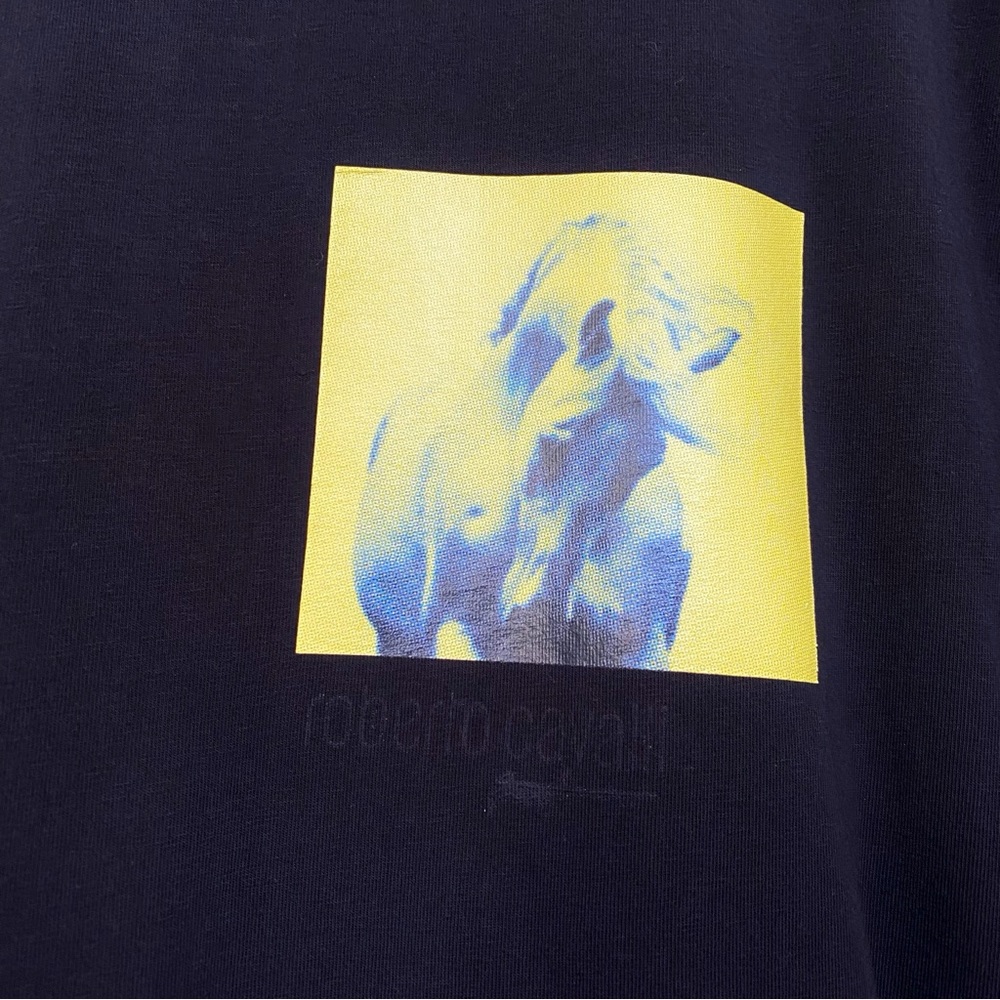 Roberto Cavalli Black yellow blue horse print crewneck short sleeve T-shirt - Picture 2 of 13